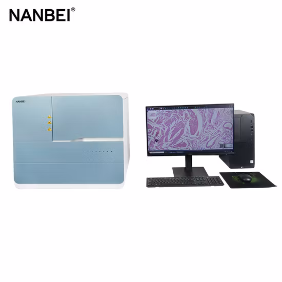 Wall Mount Automatic Smart Digital Thermometer Temperature Scanner